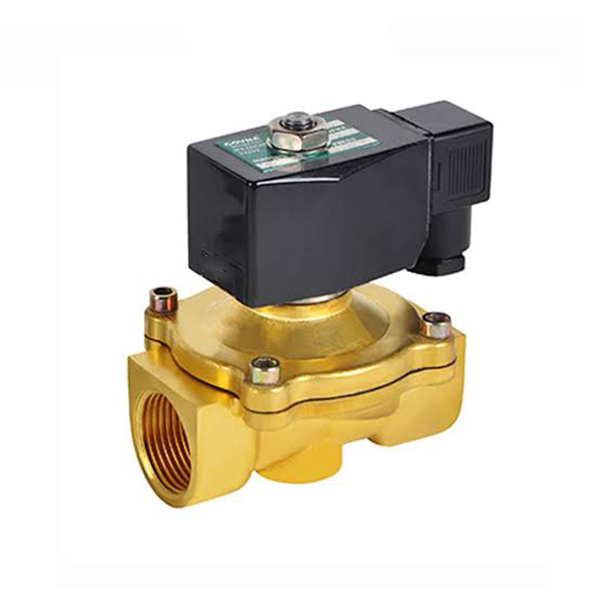 2W Serisi 2/2 Yollu Akışkan Solenoid Valfı (Doğrudan Etkili + Pilot Kumandalı)
