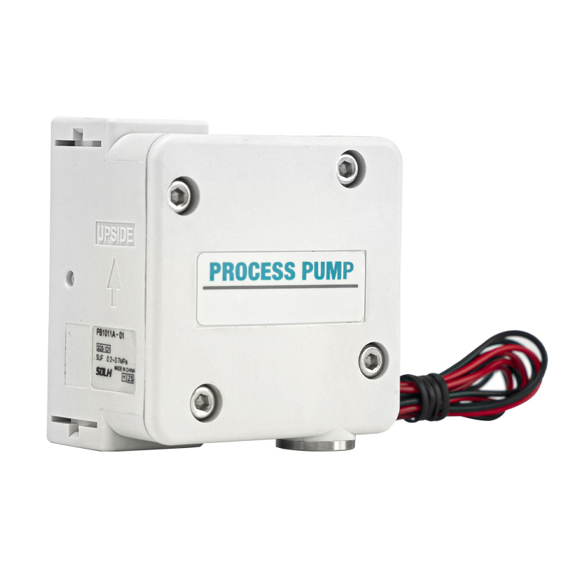 PB1011 Proses Pompası